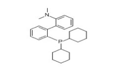 2-Dicyclohexylphosphino-2'-(N,N-dimethylamino)biphenyl 